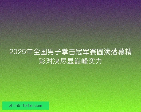 2025年全国男子拳击冠军赛圆满落幕精彩对决尽显巅峰实力